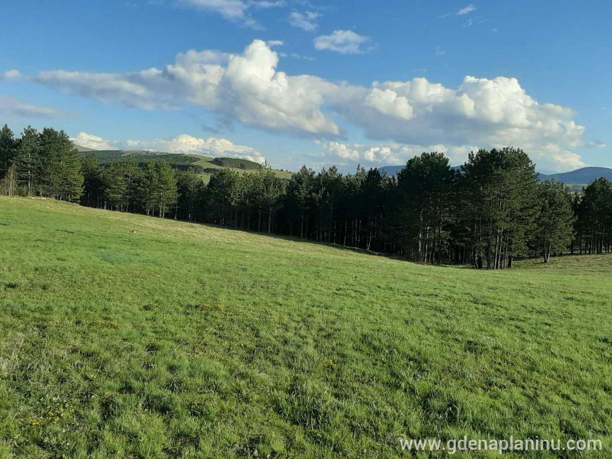 Zlatibor My village, privatni smeštaj u mestu Zlatibor, Srbija - my_village_zlatibor9