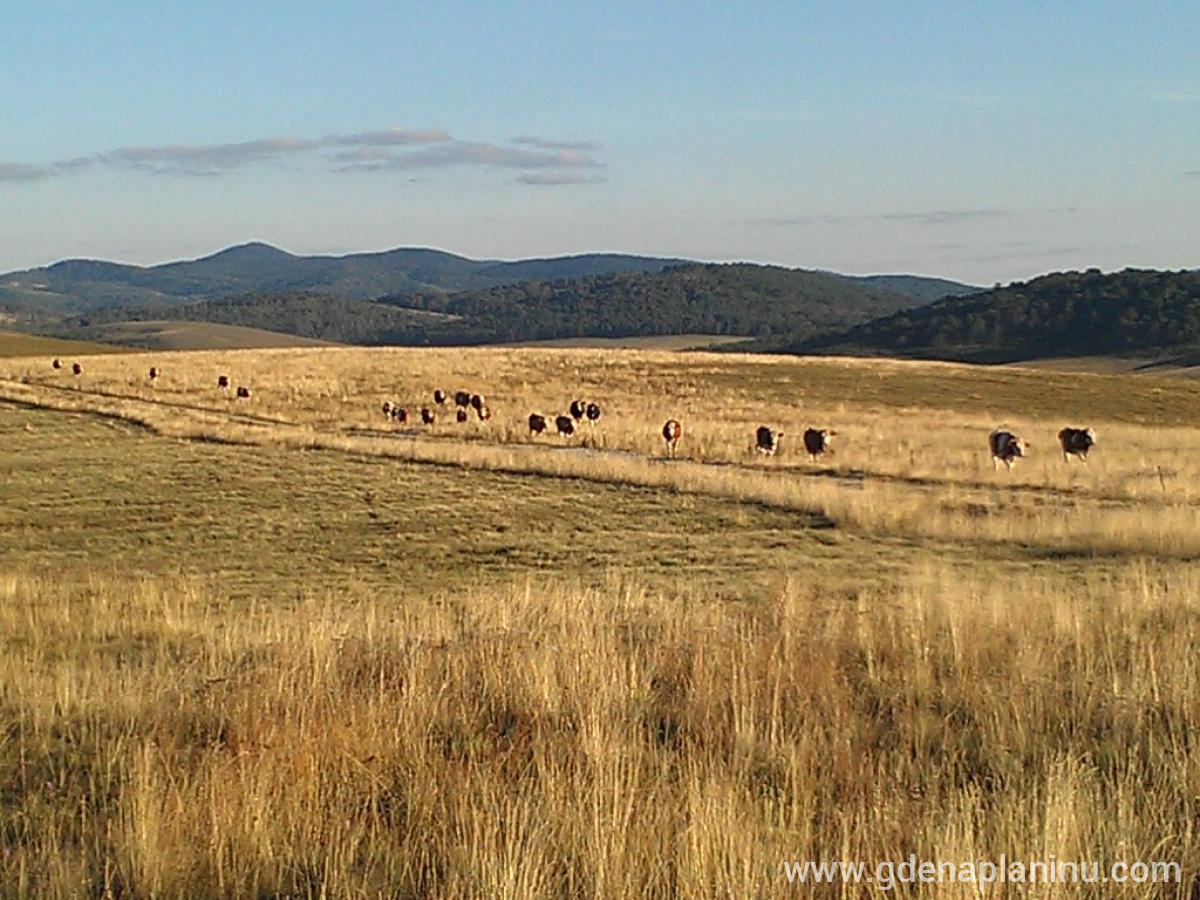 Zlatibor My village, privatni smeštaj u mestu Zlatibor, Srbija - Zlatibor