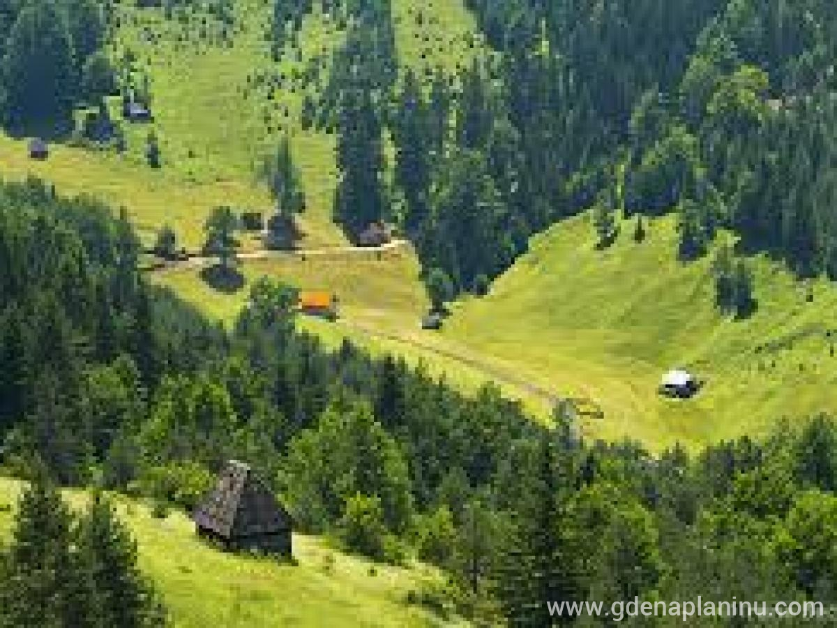 Zlatibor My village, privatni smeštaj u mestu Zlatibor, Srbija - My village Zlatibor