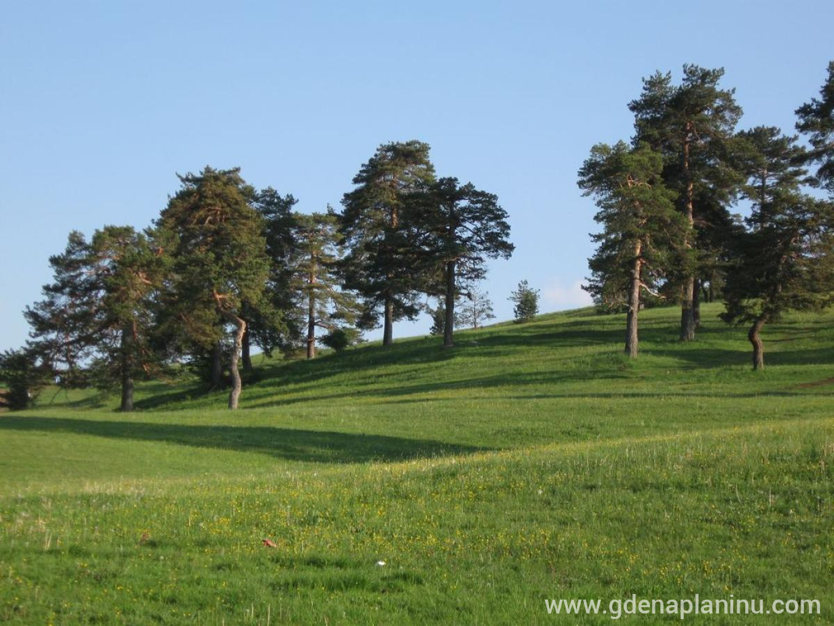 Zlatibor My village, privatni smeštaj u mestu Zlatibor, Srbija - zlatibor-obudovica