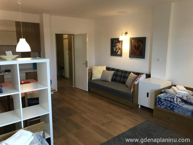 Vila Nikola - Apartman "Oli", Magán szállás a községben Kopaonik, Serbia