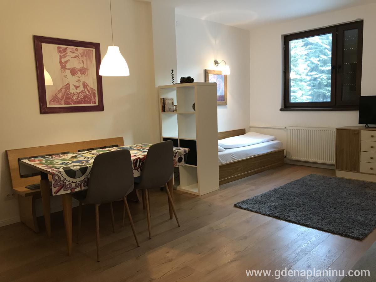 Vila Nikola  apartman "Gora" , zasebne nastanitve v mestu Kopaonik, Serbia - IMG_2702