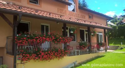Seosko turističko domaćinstvo Vila Angelina, Magán szállás a községben Javor, Serbia