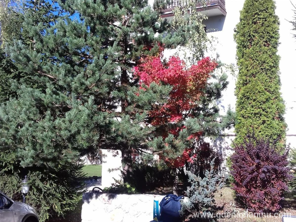 Vila 4 godisnja doba, private accommodation in city Zlatibor, Serbia - 20171009_095329