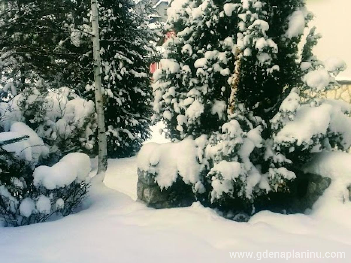 Vila 4 godisnja doba, private accommodation in city Zlatibor, Serbia - 20190108_093401