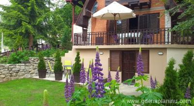 Apartmani Damjan , Magán szállás a községben Vlasinsko jezero, Serbia