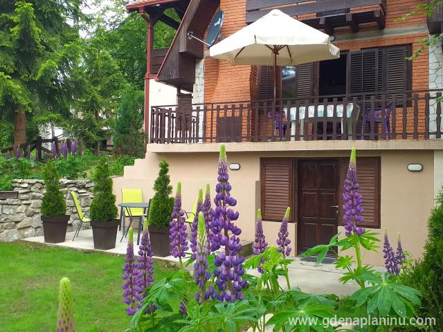 Apartmani Damjan , privatni smeštaj u mestu Vlasinsko jezero, Srbija