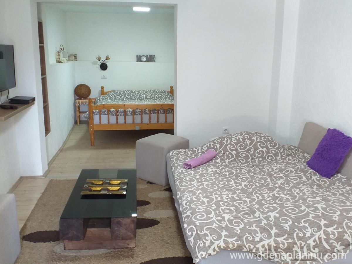 Apartmani Damjan , zasebne nastanitve v mestu Vlasinsko jezero, Serbia - Apartman u prizemlju