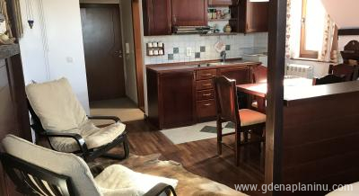 Vila Bianca, Apartman "Luna", private accommodation in city Kopaonik, Serbia