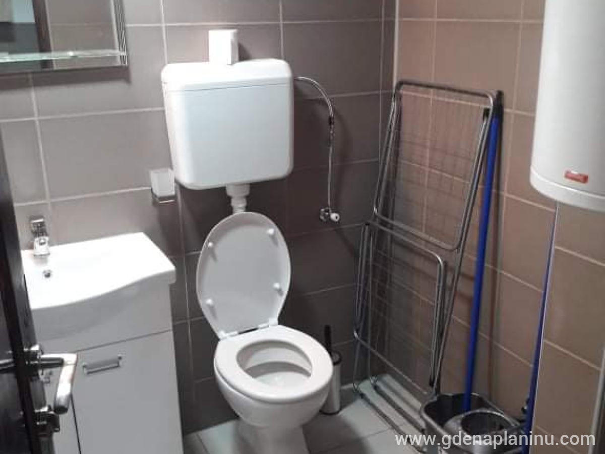 Apartmani Damjan , zasebne nastanitve v mestu Vlasinsko jezero, Serbia - Apartman u prizemlju