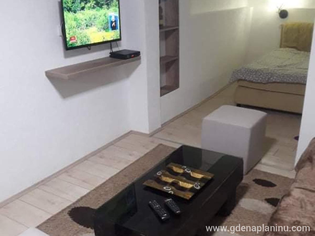 Apartmani Damjan , zasebne nastanitve v mestu Vlasinsko jezero, Serbia - Apartman u prizemlju