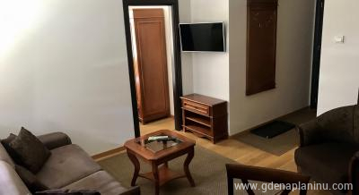 Vila Mećava - Apartman , частни квартири в града Kopaonik, Serbia