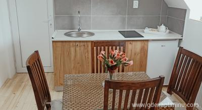 Vila Gala, private accommodation in city Kopaonik, Serbia