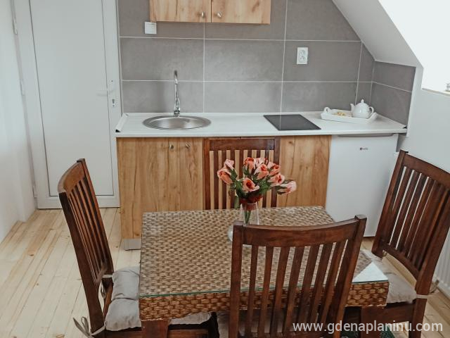 Vila Gala, privatni smeštaj u mestu Kopaonik, Srbija