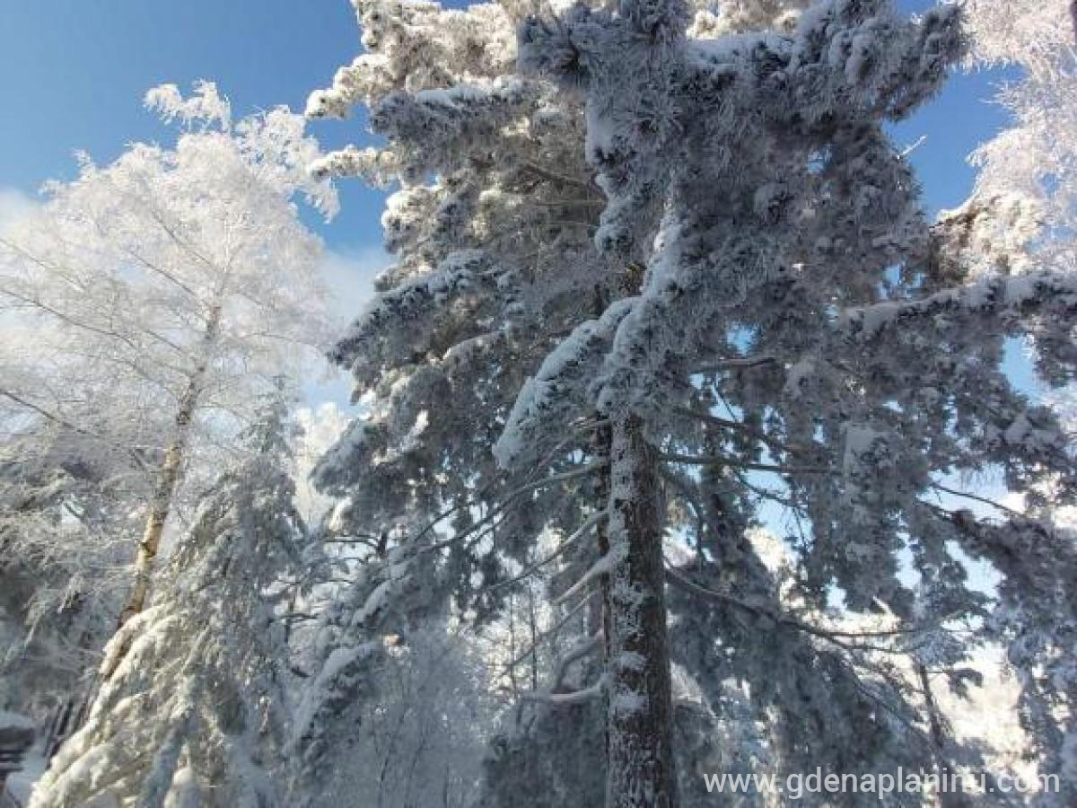 Vikendica Majstorović, Magán szállás a községben Divčibare, Szerbia - 236480936