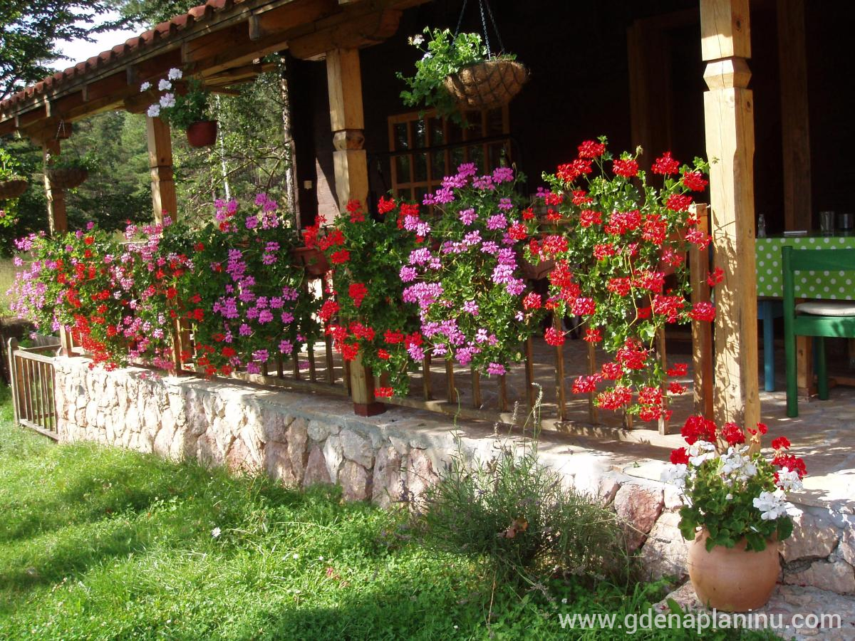 Divcibare, Vikendica- brvnara, zasebne nastanitve v mestu Divčibare, Srbija - P1010155