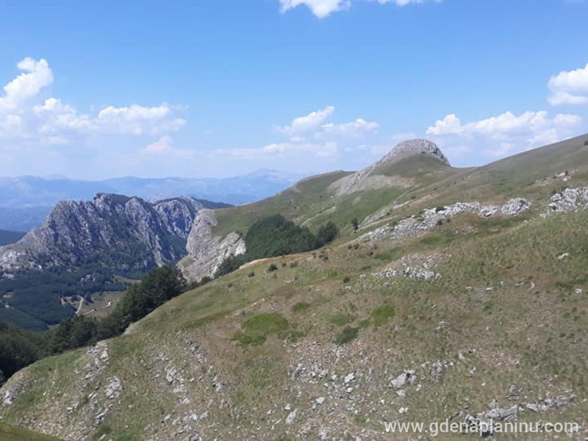 Vikendica Mokra, zasebne nastanitve v mestu Podgorica, Črna gora - 295914456_171787805351748_2466034424550592689_n