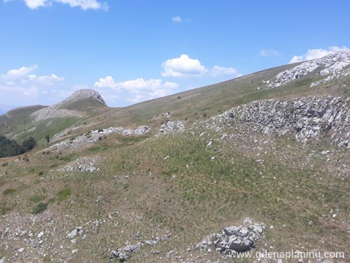 Vikendica Mokra, zasebne nastanitve v mestu Podgorica, Črna gora - 295930854_171787832018412_433483730563069273_n