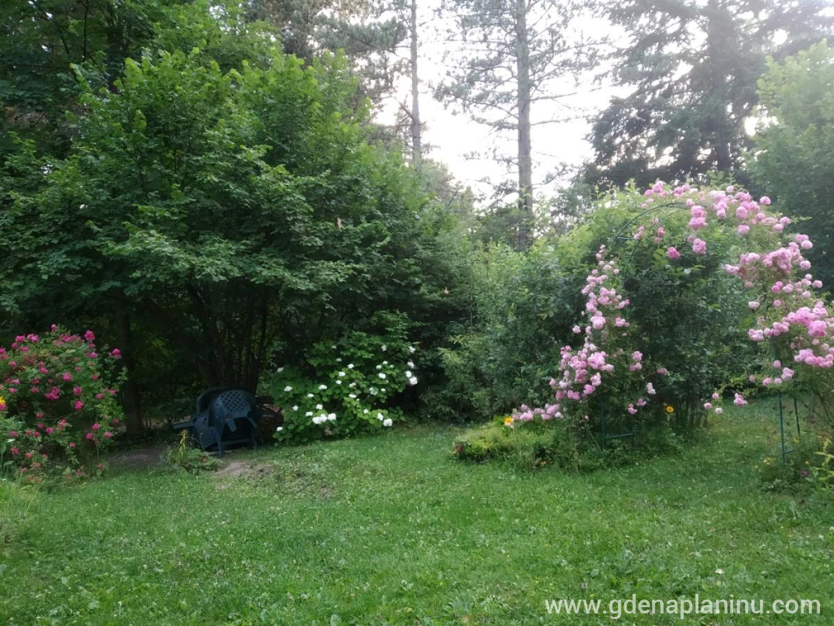 Apartmani "Eho" Zlatibor, logement privé à Zlatibor, Serbia - IMG_20210717_192634