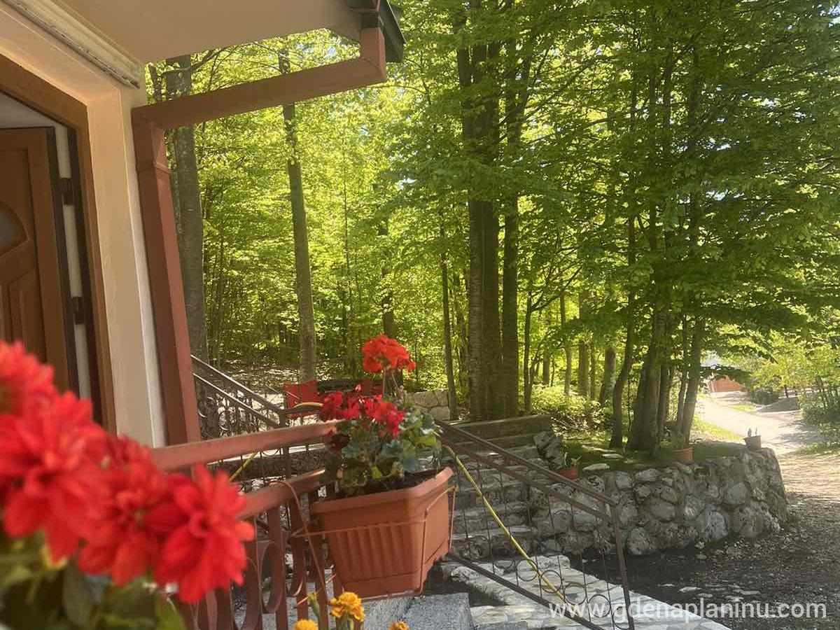 Vikendica Silenzio, logement privé à Lovcen Cetinje, Monténégro - viber_image_2024-06-26_18-01-03-141
