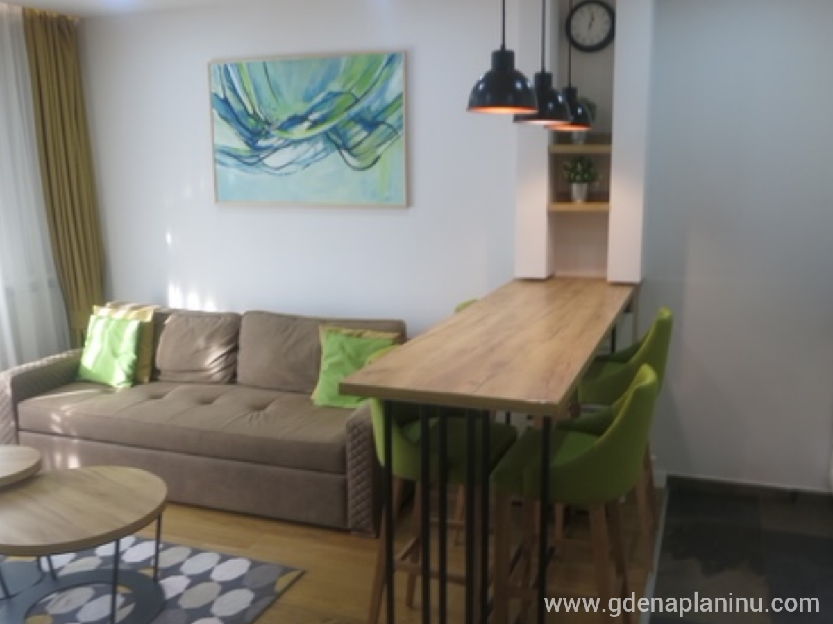 Apartman Pinetta Zlatibor, alloggi privati a Zlatibor, Serbia - 3