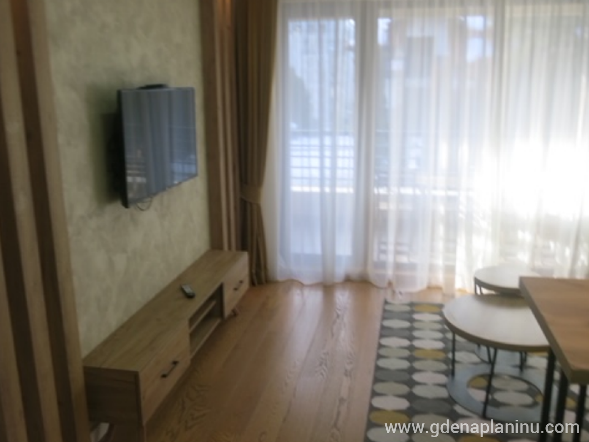 Apartman Pinetta Zlatibor, alloggi privati a Zlatibor, Serbia - 4