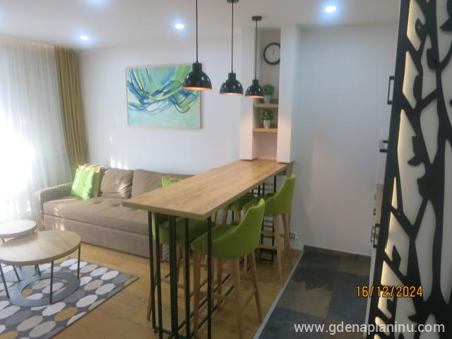 Apartman Pinetta Zlatibor, privatni smeštaj u mestu Zlatibor, Srbija
