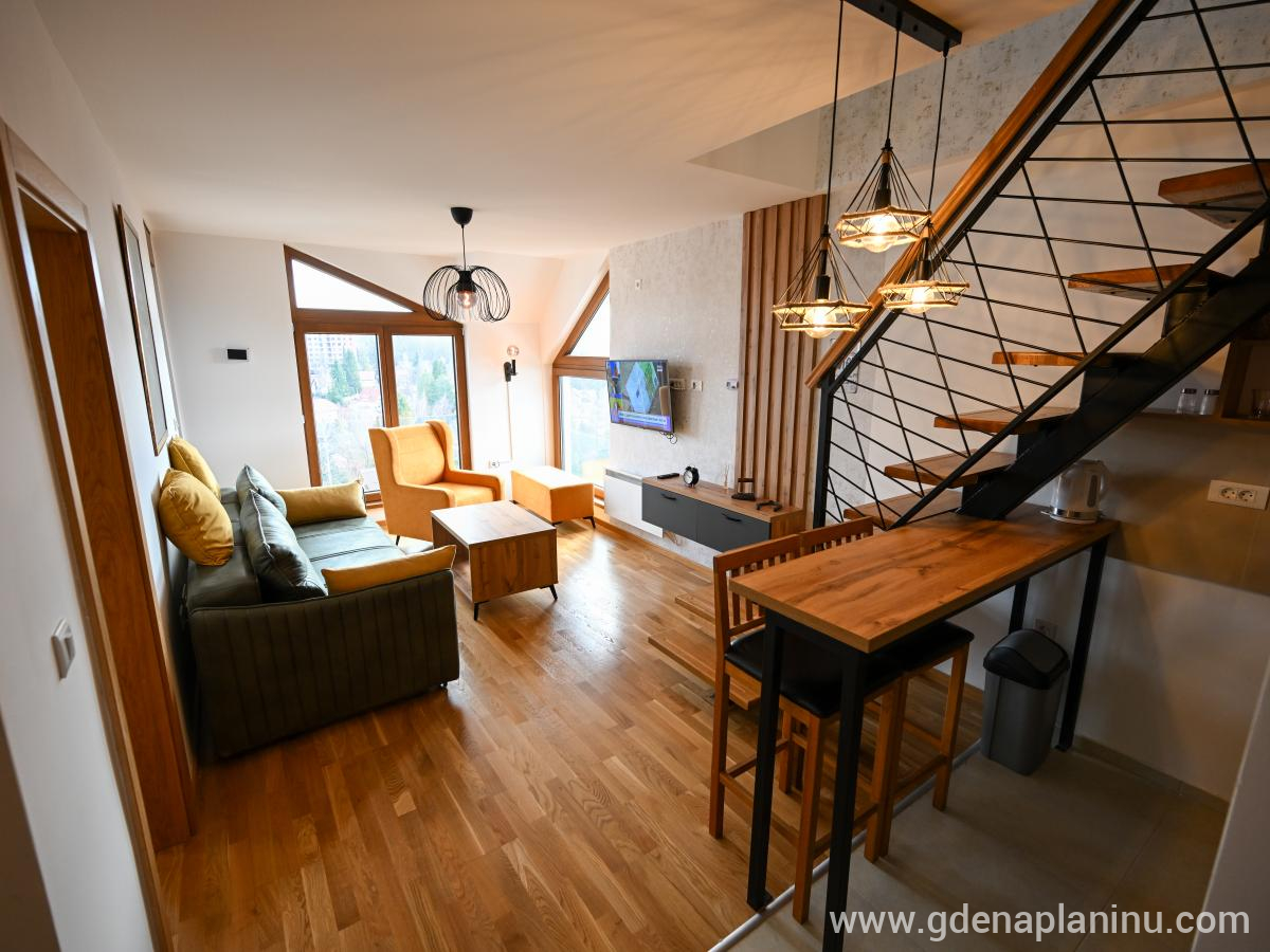 Apartman Galerija , privatni smeštaj u mestu Zlatibor, Srbija - DSC_1432