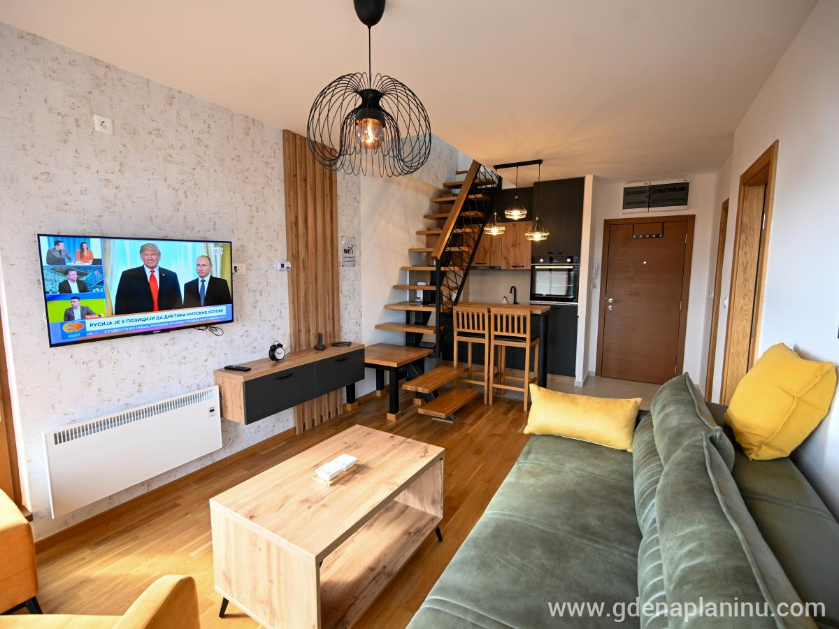 Apartman Galerija , privatni smeštaj u mestu Zlatibor, Srbija - DSC_1443