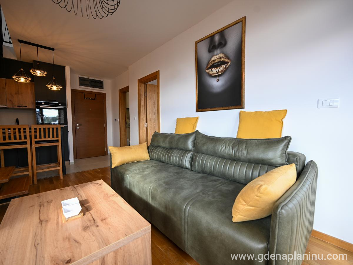 Apartman Galerija , privatni smeštaj u mestu Zlatibor, Srbija - DSC_1448