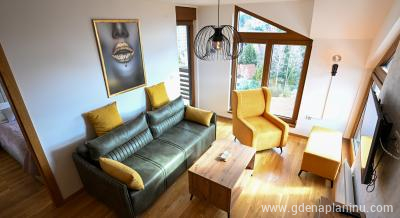 Apartman Galerija , Частный сектор жилья Zlatibor, Serbia