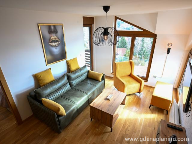 Apartman Galerija , privatni smeštaj u mestu Zlatibor, Srbija