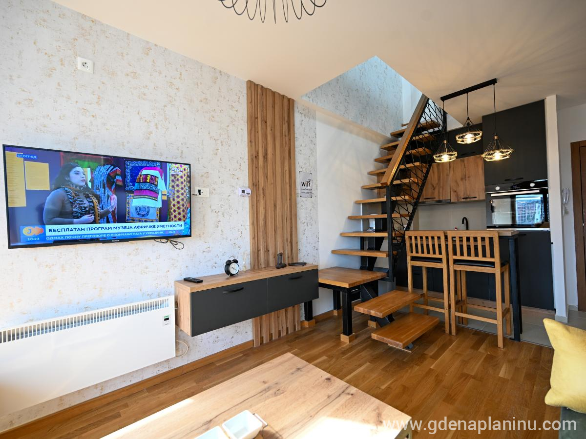 Apartman Galerija , privatni smeštaj u mestu Zlatibor, Srbija - DSC_1465
