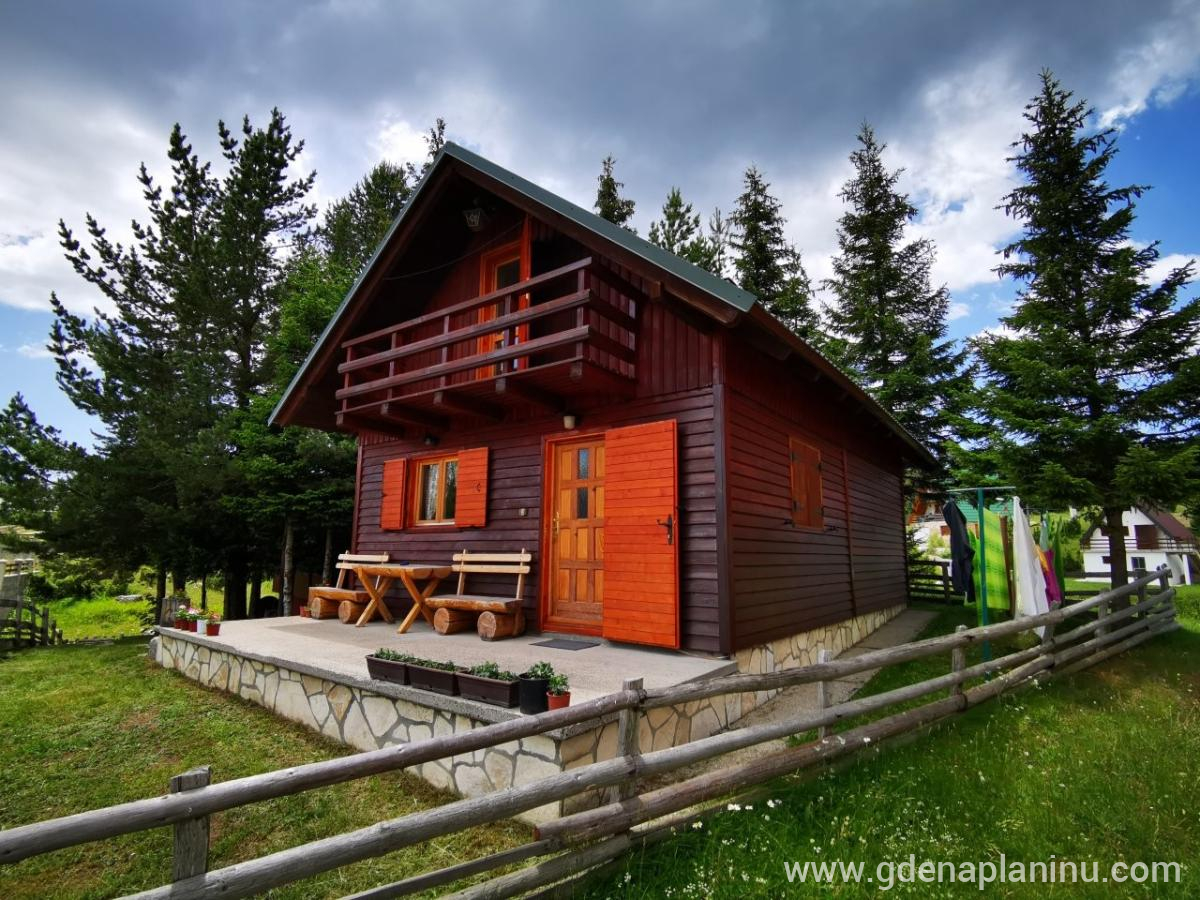 Holiday Home Bella, private accommodation in city Žabljak, Montenegro - IMG_20220701_131950