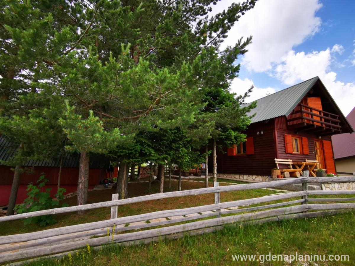 Holiday Home Bella, private accommodation in city Žabljak, Montenegro - IMG_20220701_132534