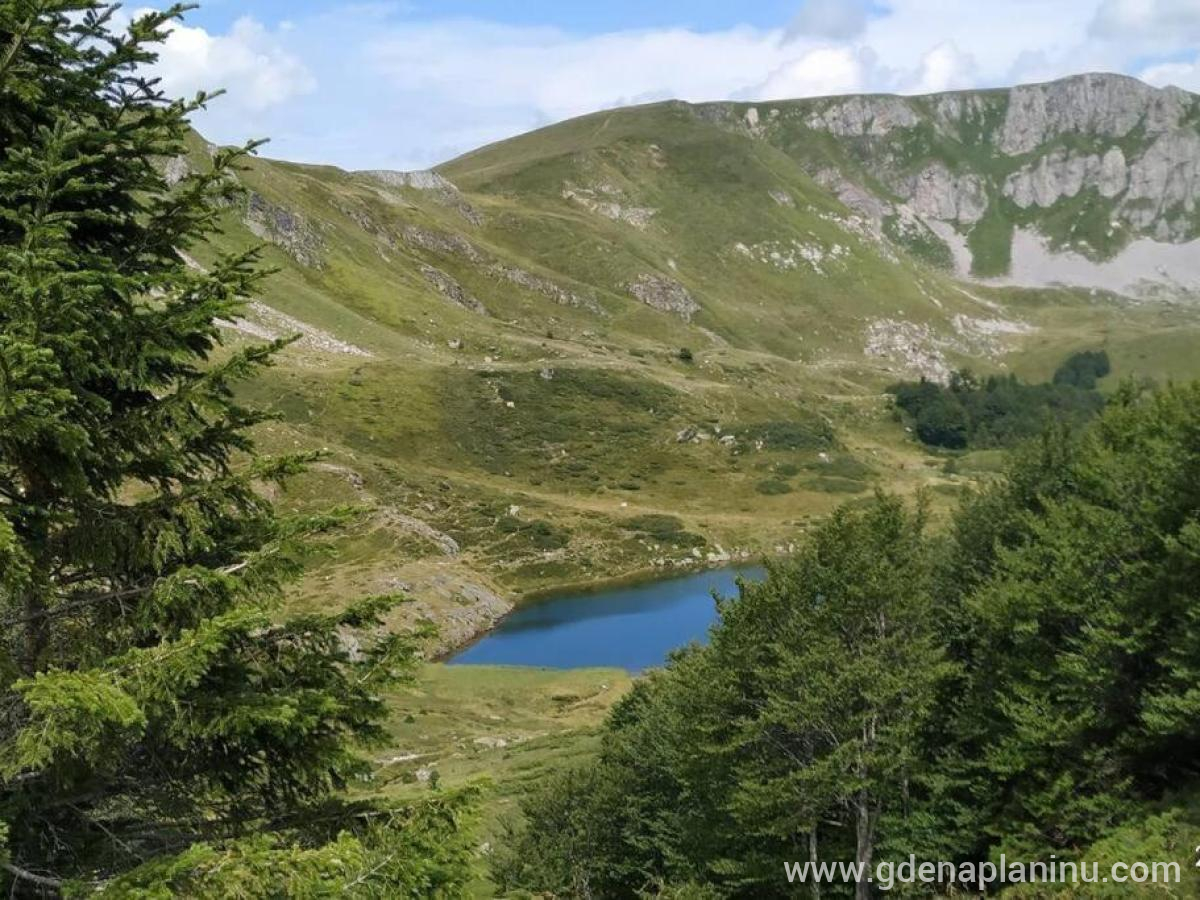 Apartmani Vuk, Privatunterkunft im Ort Kolašin, Montenegro - 332179938