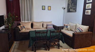 Apartman Bane, private accommodation in city Jahorina, Bosnia and Herzegovina