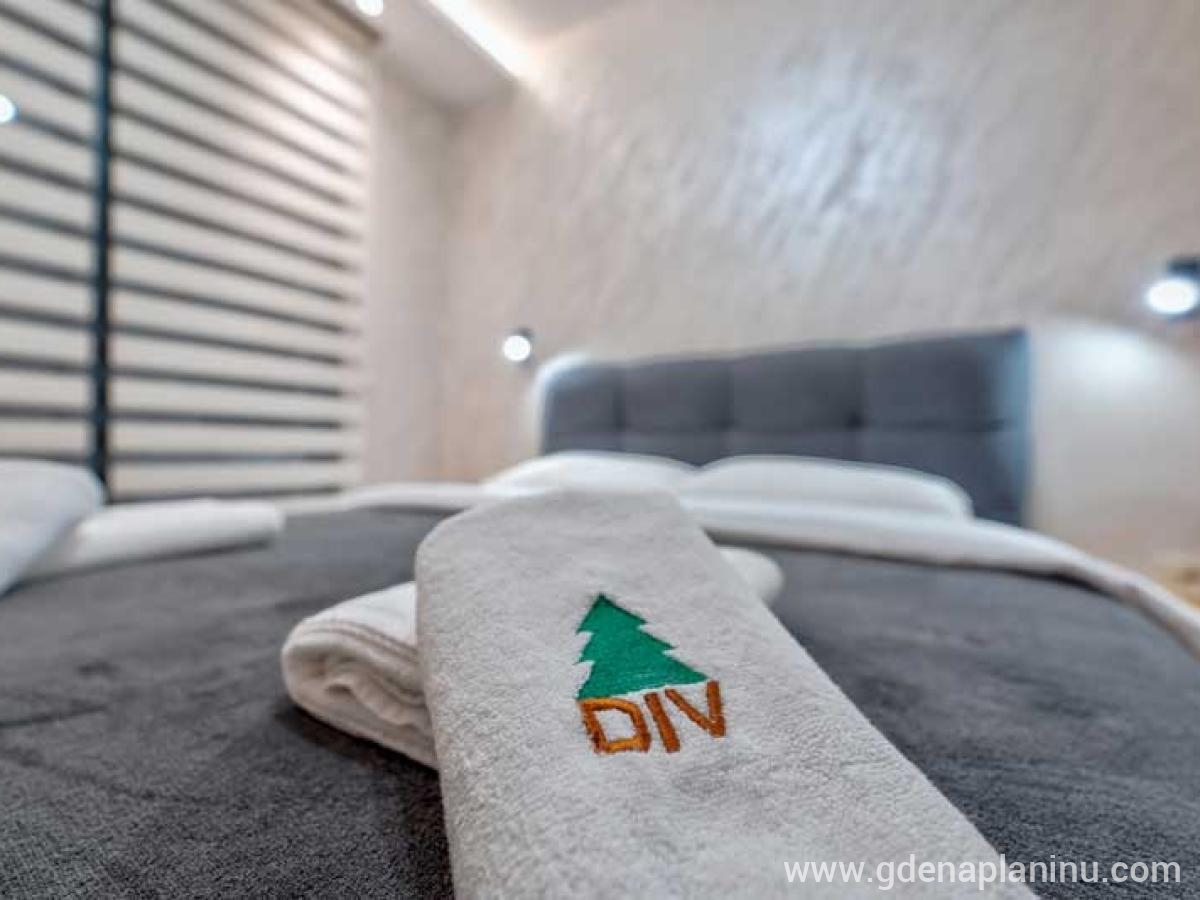 Apartman DIV Zlatibor, частни квартири в града Zlatibor, Сърбия - Детайл от спалнята