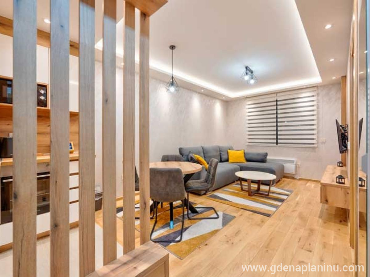 Apartman DIV Zlatibor, частни квартири в града Zlatibor, Сърбия - Дневна и вход
