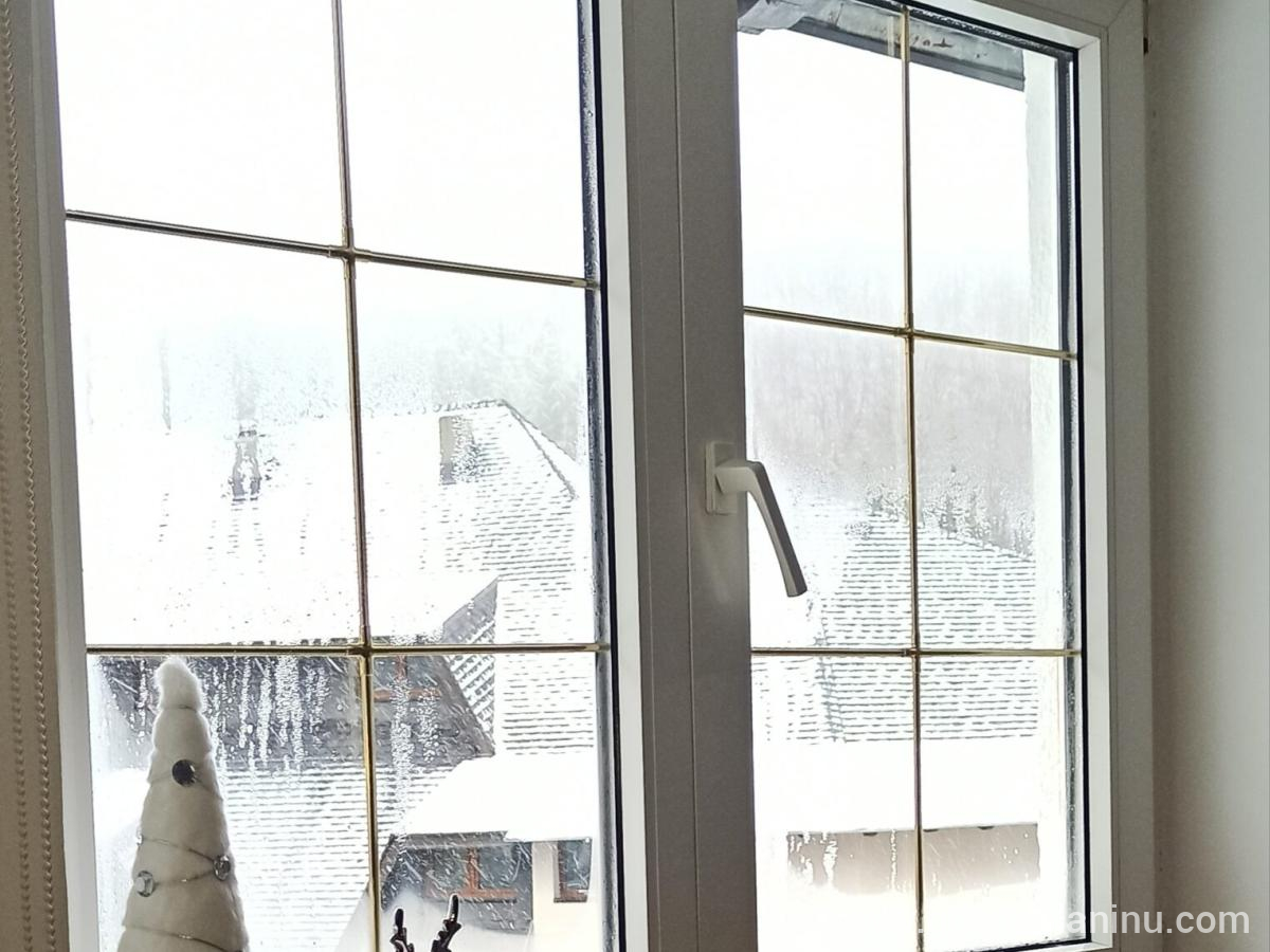 Apartman Nina – Brzeće, Kopaonik, Privatunterkunft im Ort Kopaonik, Serbien - Fenster und Aussicht