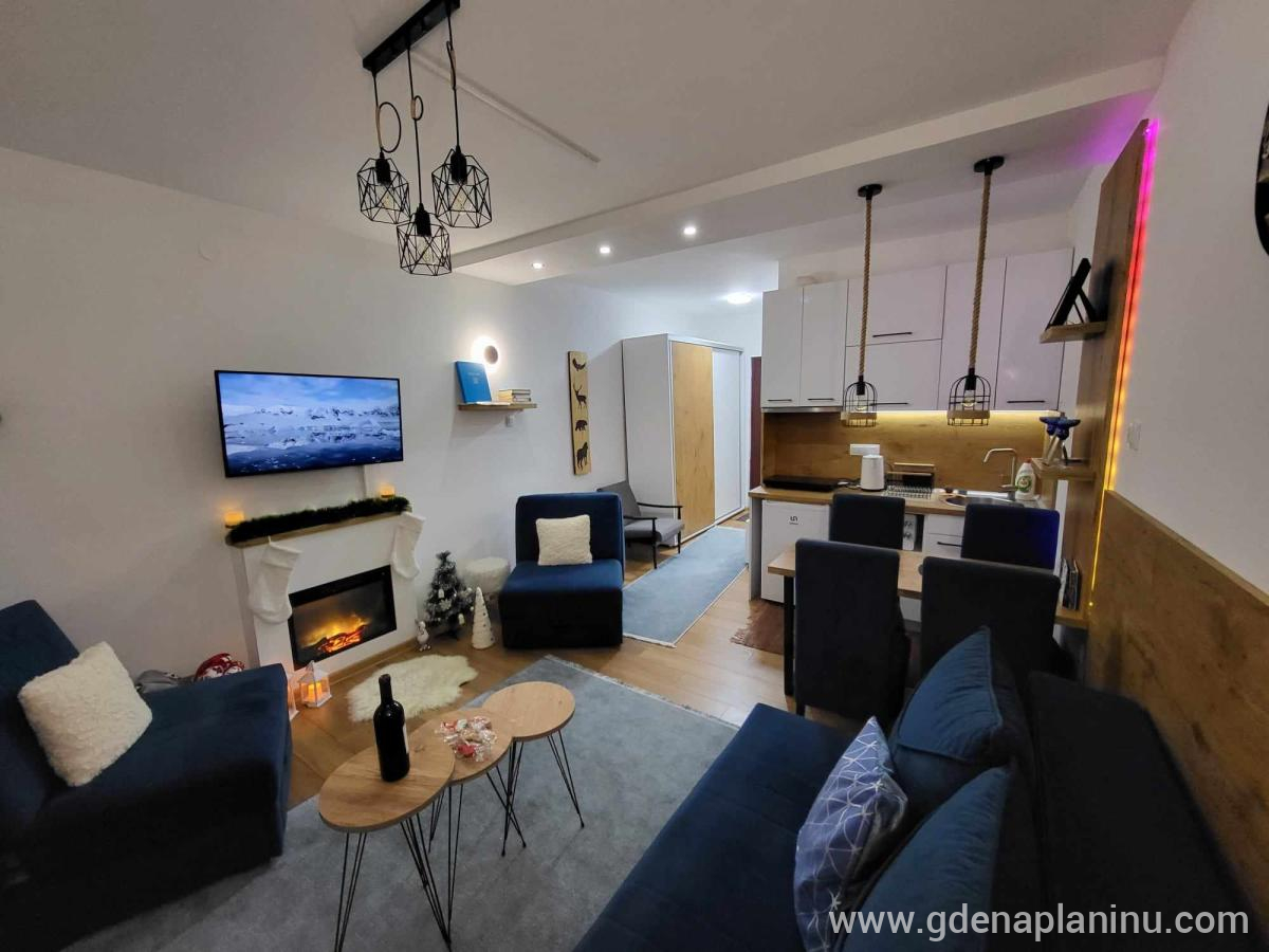 Apartman Nina – Brzeće, Kopaonik, Magán szállás a községben Kopaonik, Serbia - Dnevni boravak i kuhinja