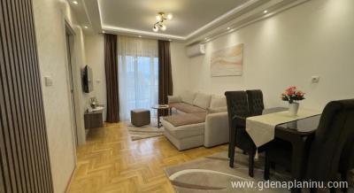 Apartman Aleksić, zasebne nastanitve v mestu Vrnjačka banja, Srbija