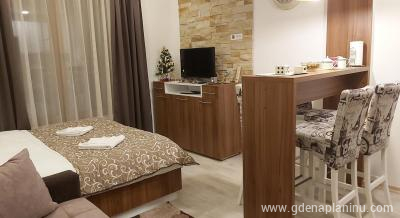Ami apartman, privat innkvartering i sted Kopaonik, Serbia