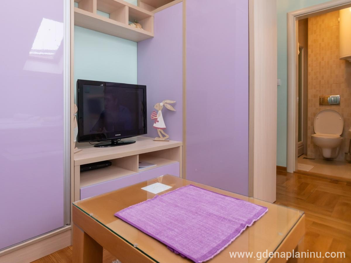 Bella Vita apartmani, Bella Vita 1, студио, частни квартири в града Zlatibor, Сърбия - Телевизор и вход към банята