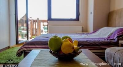 Apartman Branka broj 22A, ενοικιαζόμενα δωμάτια στο μέρος Zlatibor, Σερβία