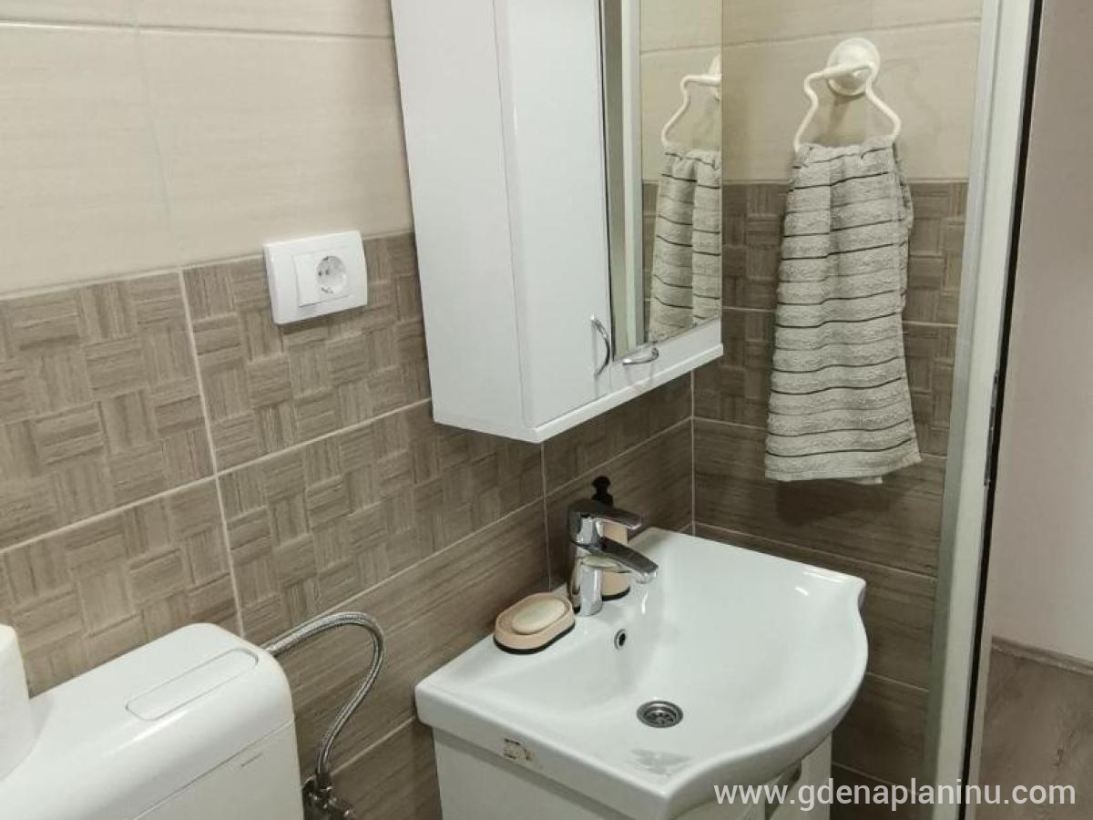 Fantastik apartman, ενοικιαζόμενα δωμάτια στο μέρος Bajina Bašta, Σερβία - Νιπτήρας και καθρέφτης