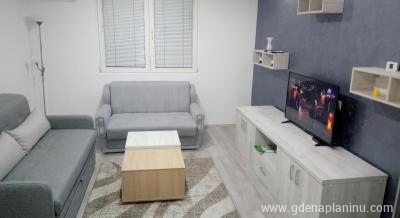 Fantastik apartman, privatni smeštaj u mestu Bajina Bašta, Srbija