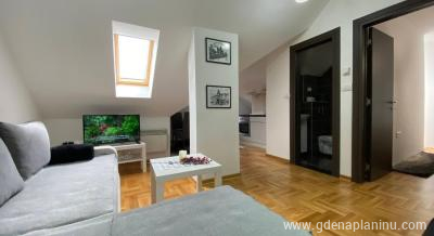 Apartman Golden Hill, logement privé à Zlatibor, Serbia