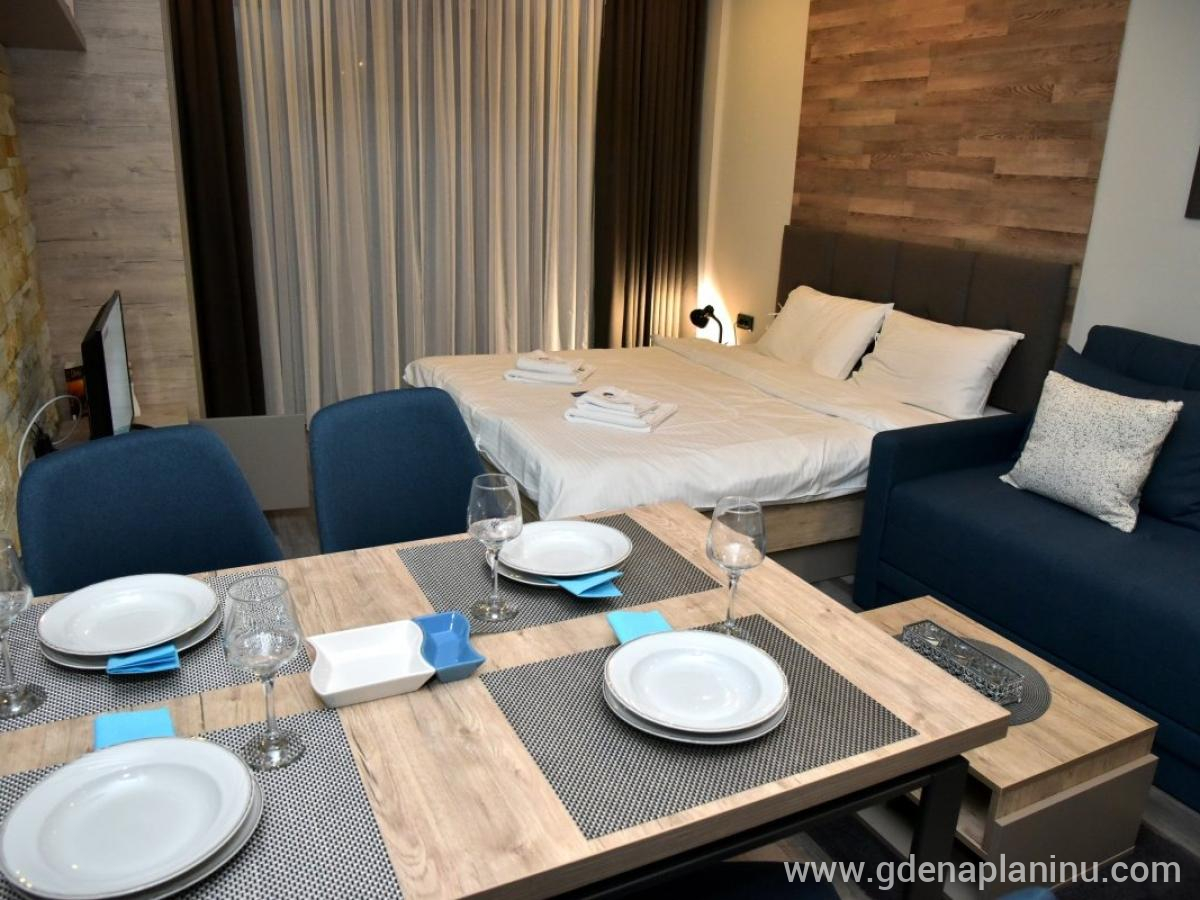 Milmari A12, privat innkvartering i sted Kopaonik, Serbia - Pogled kroz studio