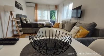 Apartman Natura, zasebne nastanitve v mestu Vrnjačka banja, Srbija
